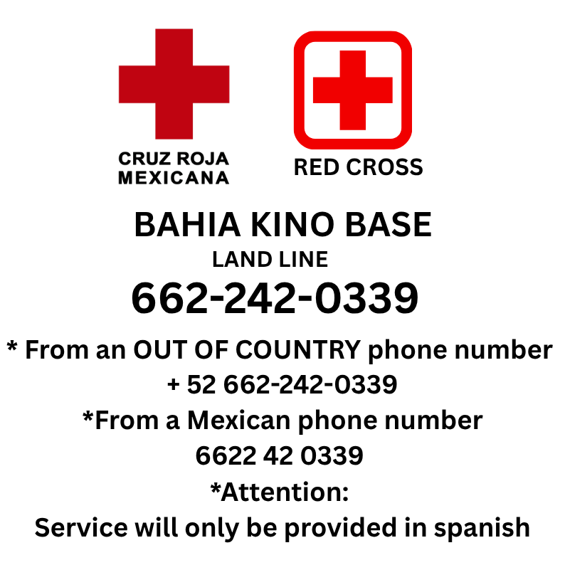 red cross base bahia kino (2)